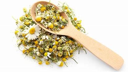 Chamomile — calming and sleep quality