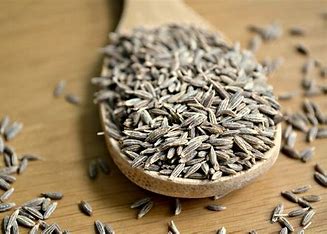 Egyptian Cumin Seeds — digestion and immunity